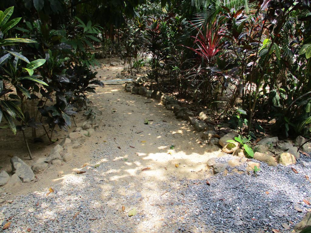 Khaosok Island Resort Khao Sok National Park Zewnętrze zdjęcie