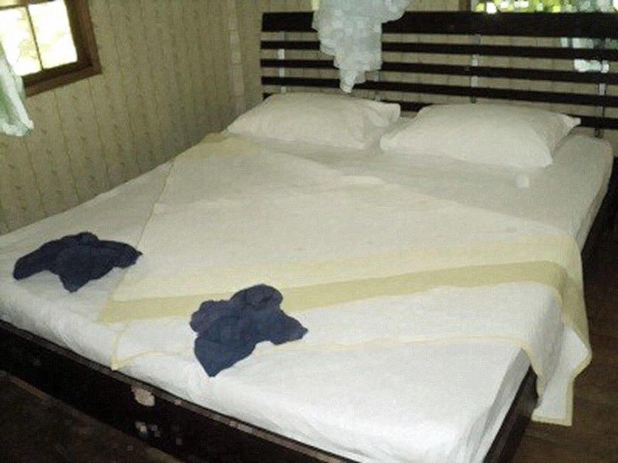 Khaosok Island Resort Khao Sok National Park Zewnętrze zdjęcie