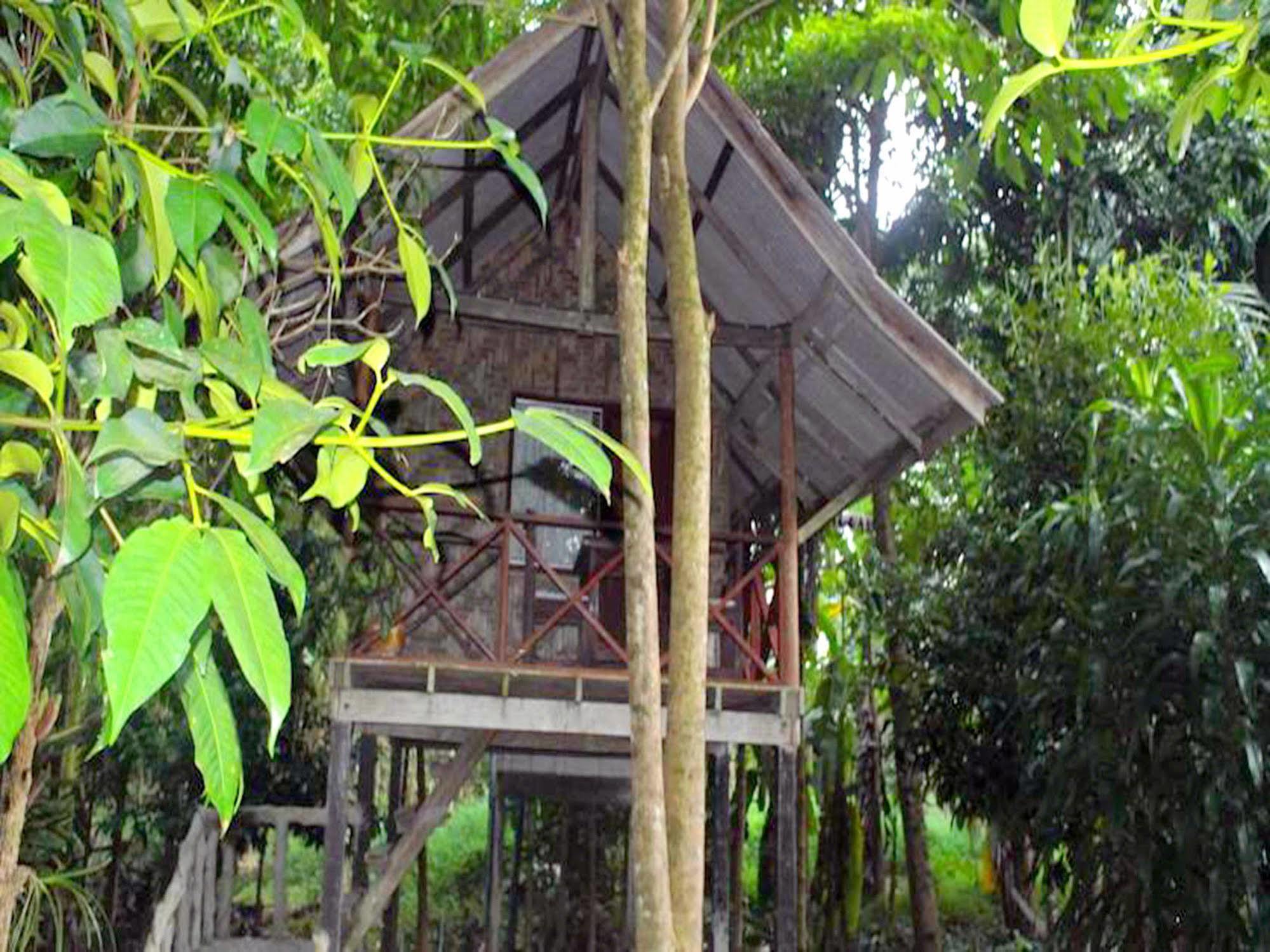 Khaosok Island Resort Khao Sok National Park Zewnętrze zdjęcie